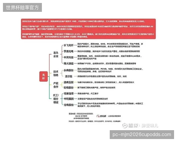 亚洲各国根据市场体量和观赛习惯支付差异巨大的转播费用，区域市场分化明显。